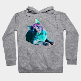 Kitters Hoodie